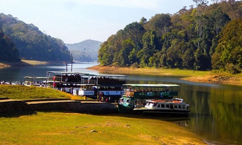 Day 2 : Full-Day Gavi Safari Adventure