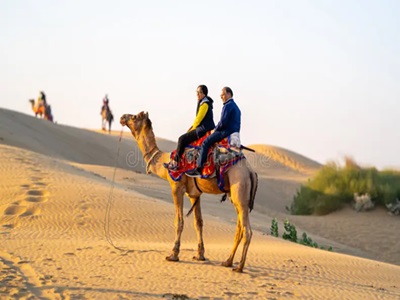 Highlights of the Experience