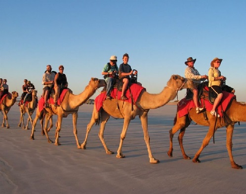 Desert Camping & Camel Safari
