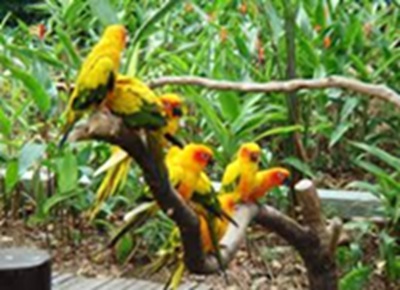 Day 07: Kumarakom Sightseeing