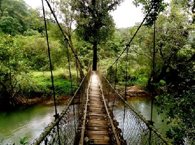 Day 05: Coorg Sightseeing