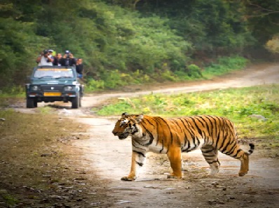 Day 09 : Madurai - Periyar  {104 Kms  3 Hrs}