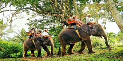 Day 08: Munnar � Thekkady