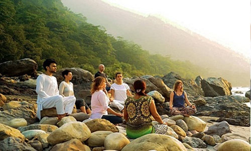 Luxury & Wellness Focused (for high-end clients or premium catalogs