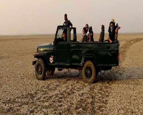 Day 05 ; A Day in the Little Rann of Kutch & Local Village Exploration