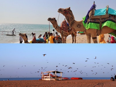 Day 08 : Bhuj � Mandvi Coastal Excursion