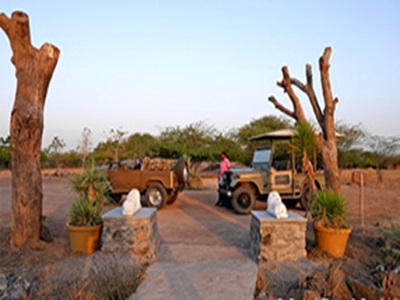 Day 13: Bhavnagar � Velavadar � Ahmedabad � Ahmedabad {163 Kms & 4 Hrs }