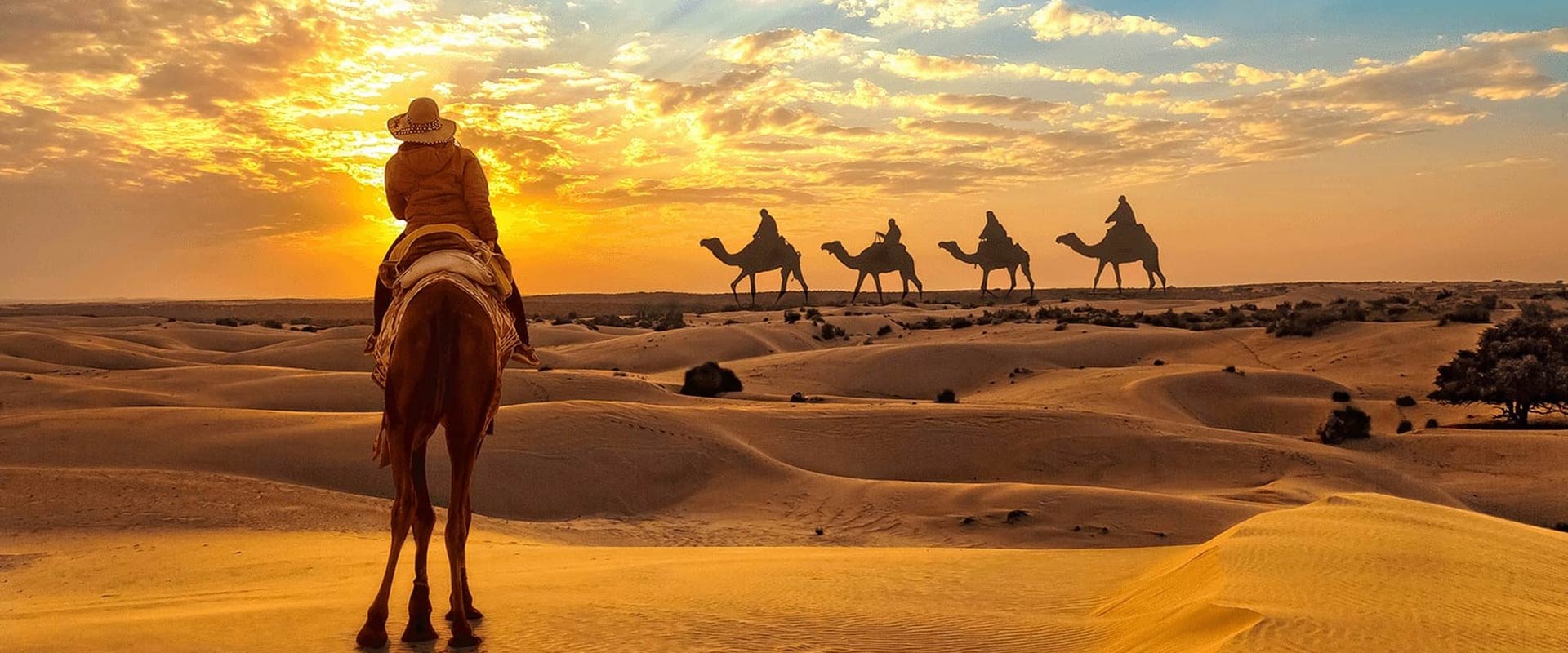 Royal Rajasthan 10 Nights 11 Days .