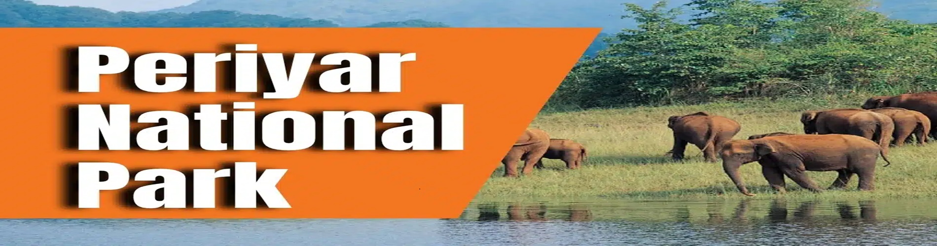 Periyar Park National Park Kerela 