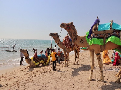 Day 5:Nakhtrana � Mandvi  {100Kms & 2 Hrs }