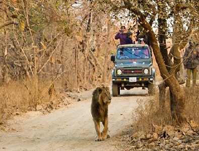 Day 9: Somnath| Sasangir | Rajkot {200 Kms & 4Hrs}
